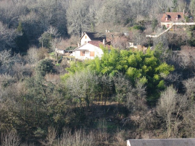 Scaled image IMG_5049.JPG 